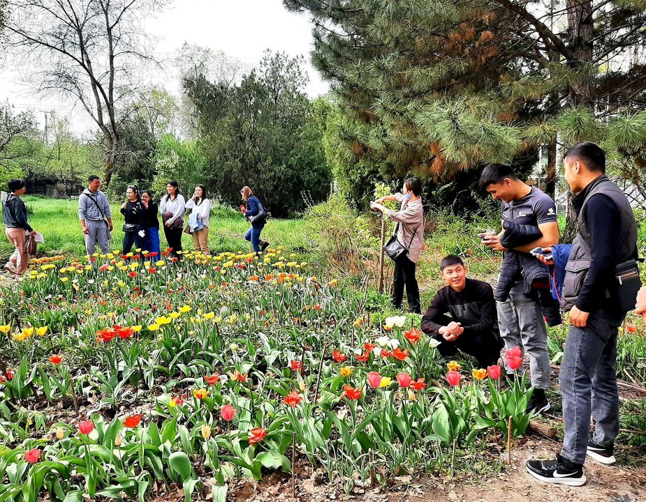 The issue of including certain types of tulips in the red list of the International Union for Conservation of Nature will be discussed in Bishkek