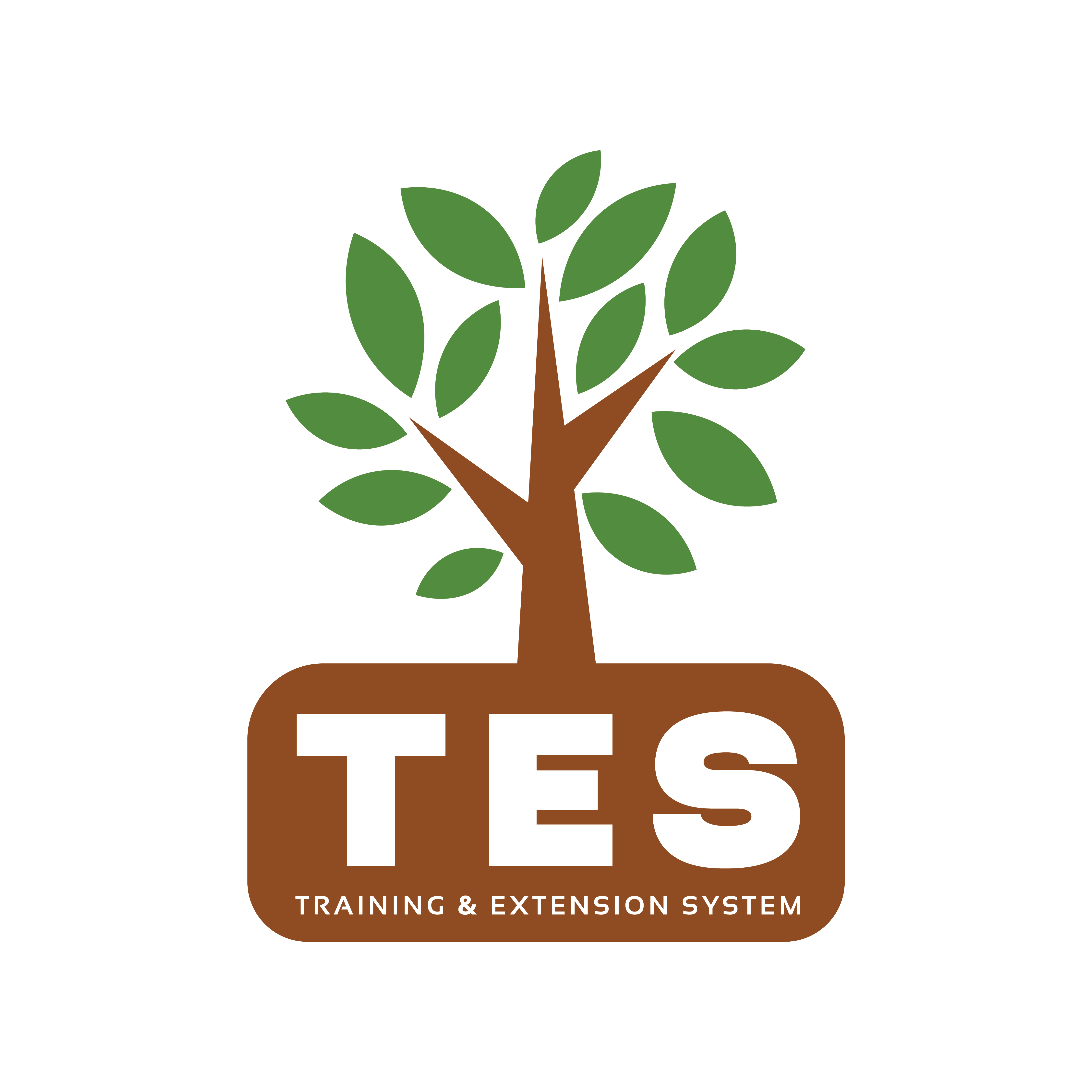 Центр Обучения и Консультирования (TES — Центр) вступил в состав Зеленый Альянс Кыргызстана