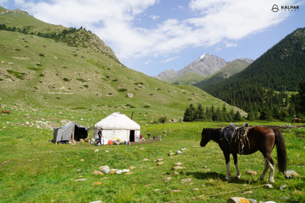 kyrgyzstan-horse-yurt-1